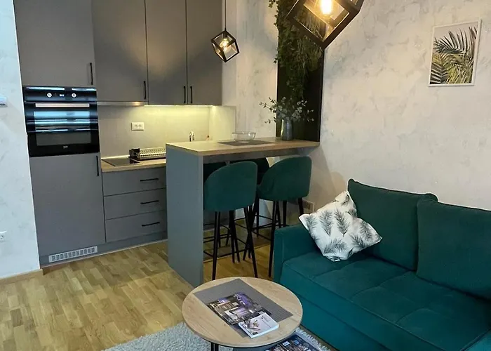 Magnum Titova Apartament *